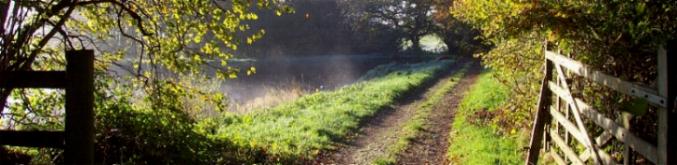 Autumn by the Pond