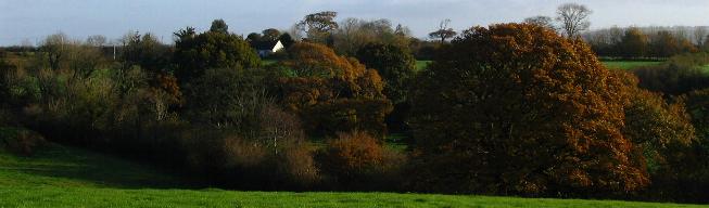 The Bungalow seen from the farm